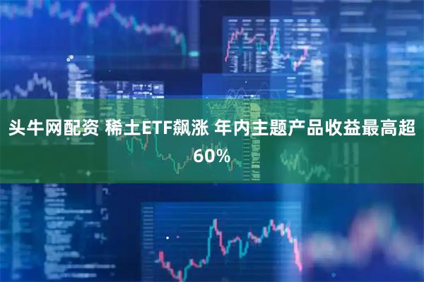 头牛网配资 稀土ETF飙涨 年内主题产品收益最高超60%