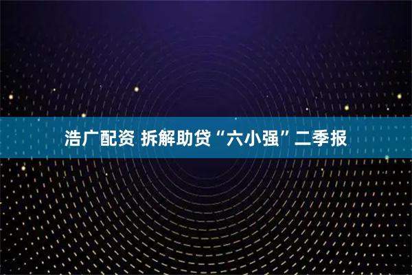 浩广配资 拆解助贷“六小强”二季报